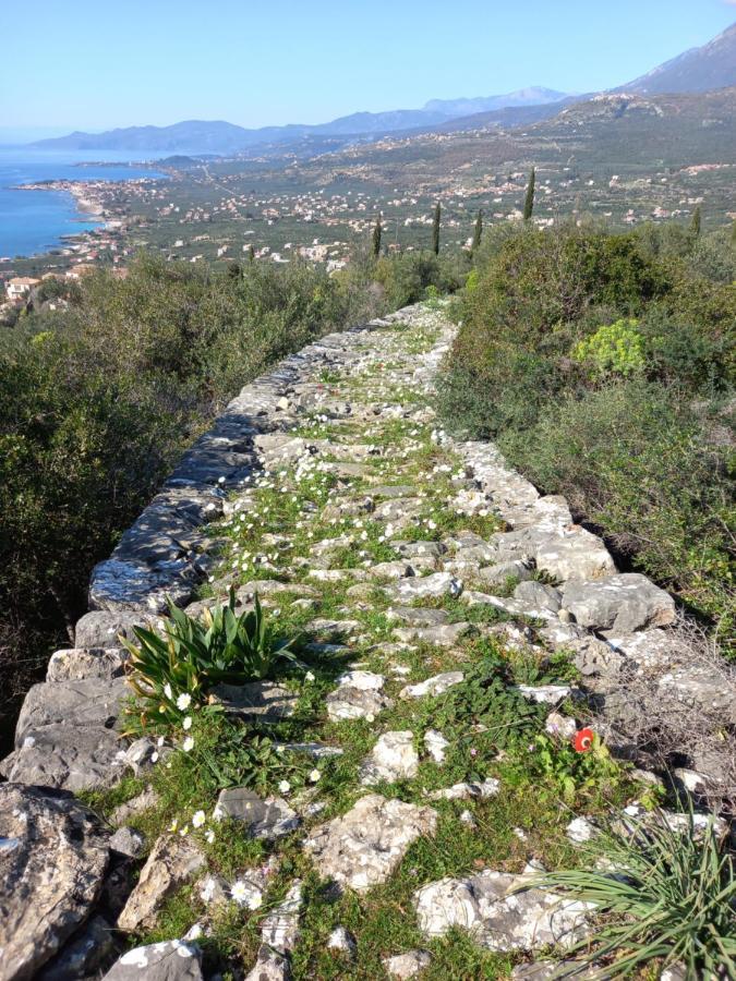 Villa Pefnos Агиос Николаос Екстериор снимка