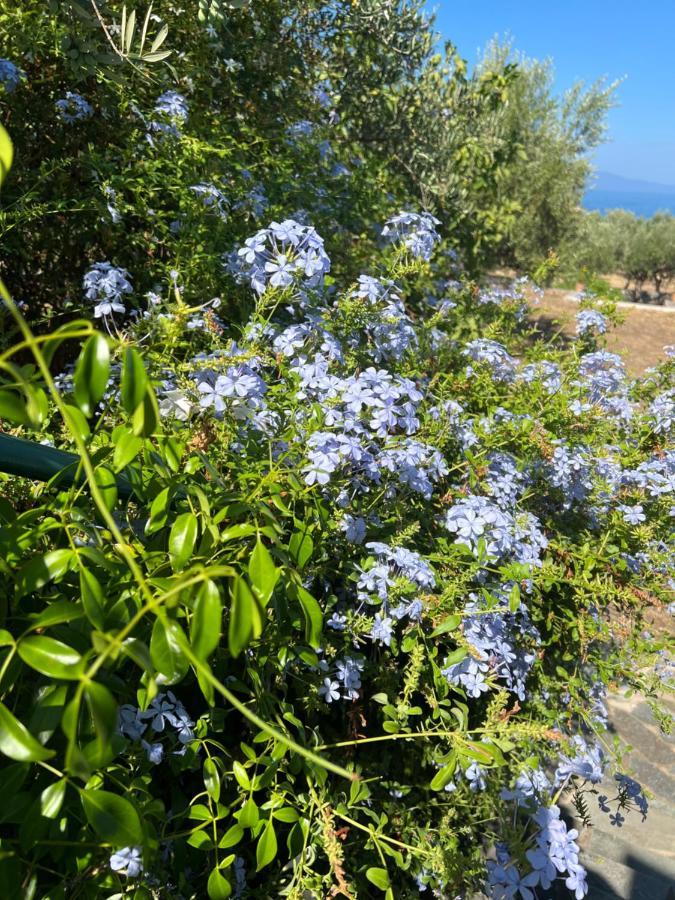 Villa Pefnos Агиос Николаос Екстериор снимка