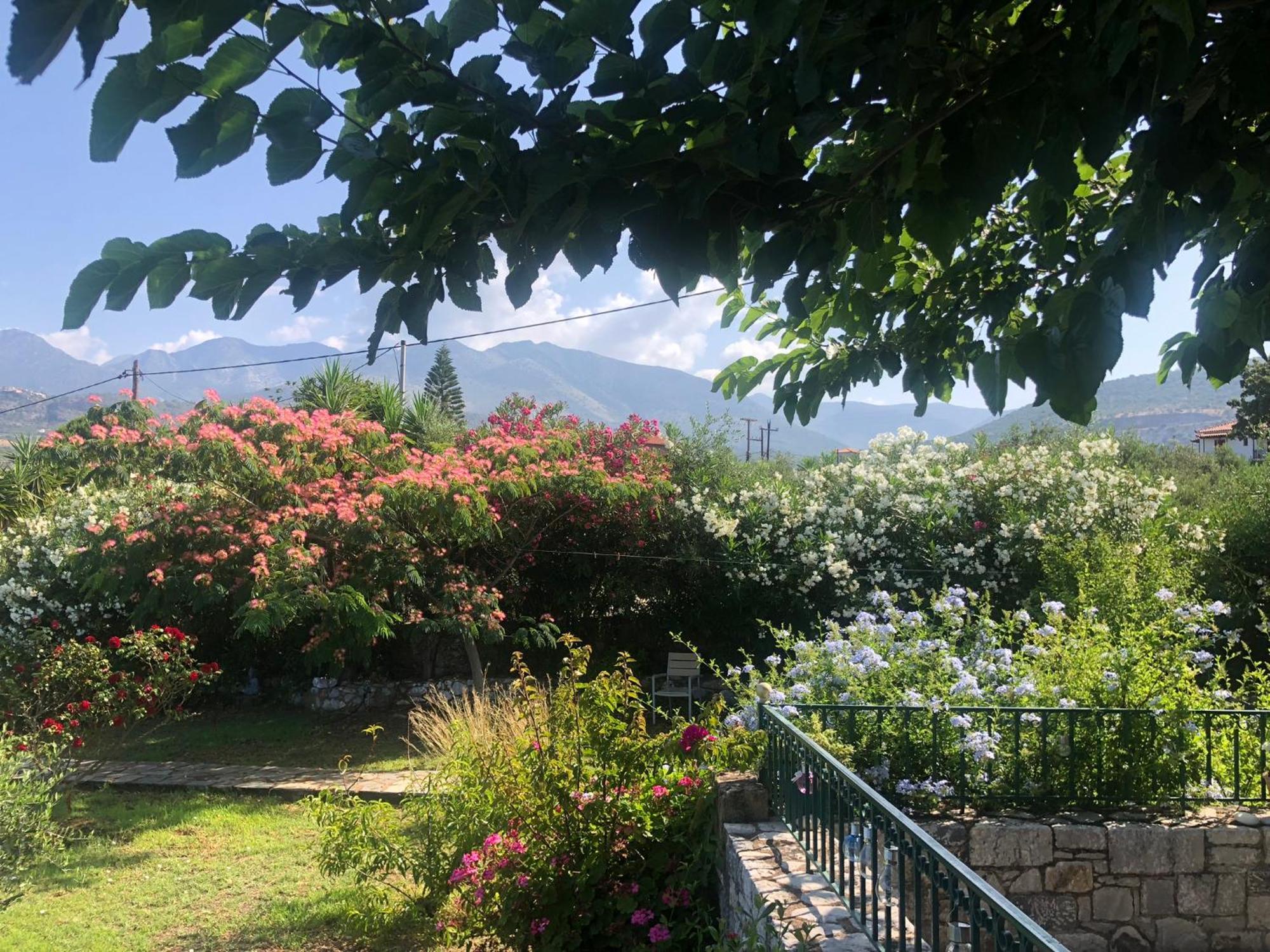 Villa Pefnos Агиос Николаос Екстериор снимка